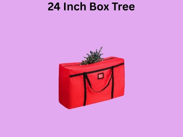 24 Inch Box Tree
