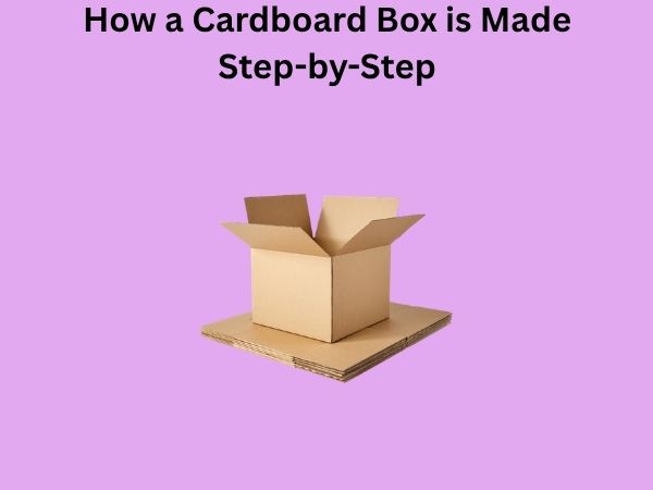 How a Cardboard Box is Made Step-by-Step