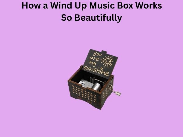 How a Wind Up Music Box Works So Beautifully