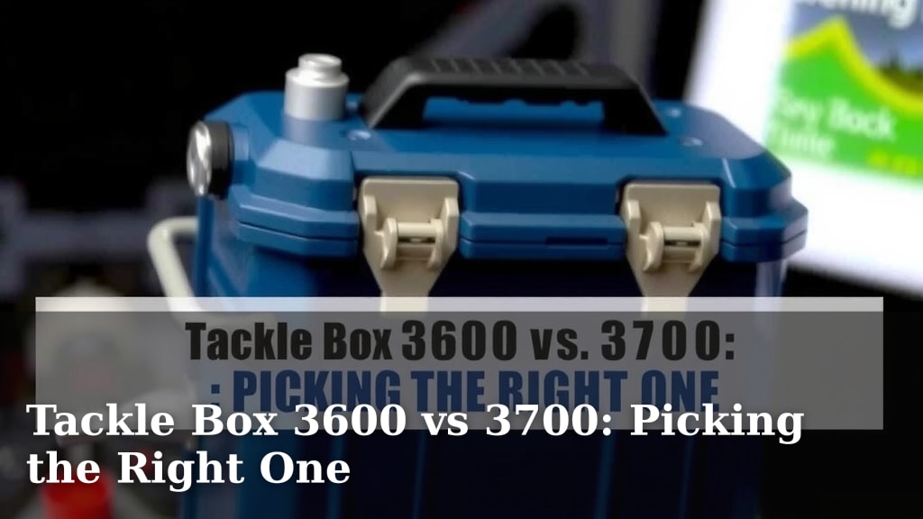 Tackle Box 3600 vs 3700: Picking the Right One